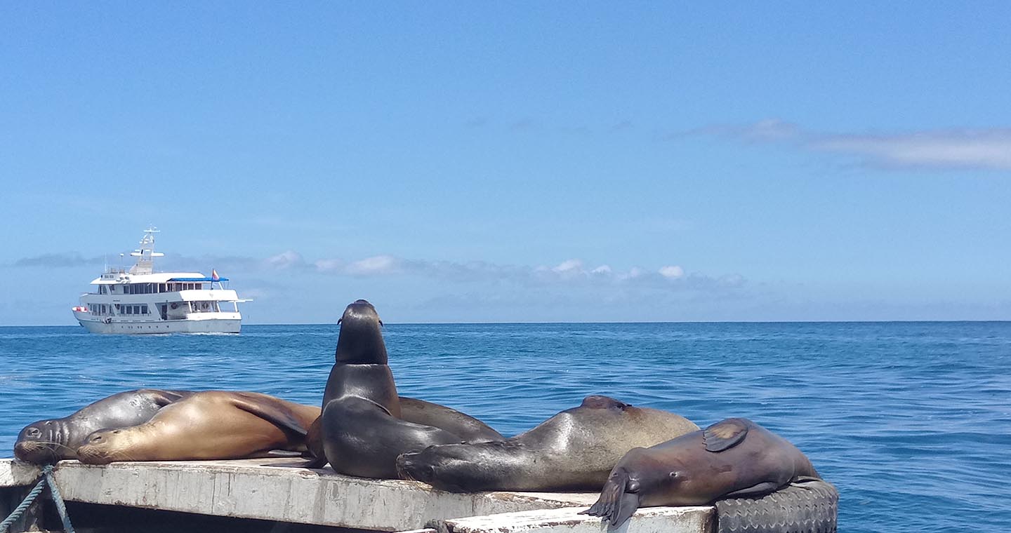 Emma Thompson Galapagos article