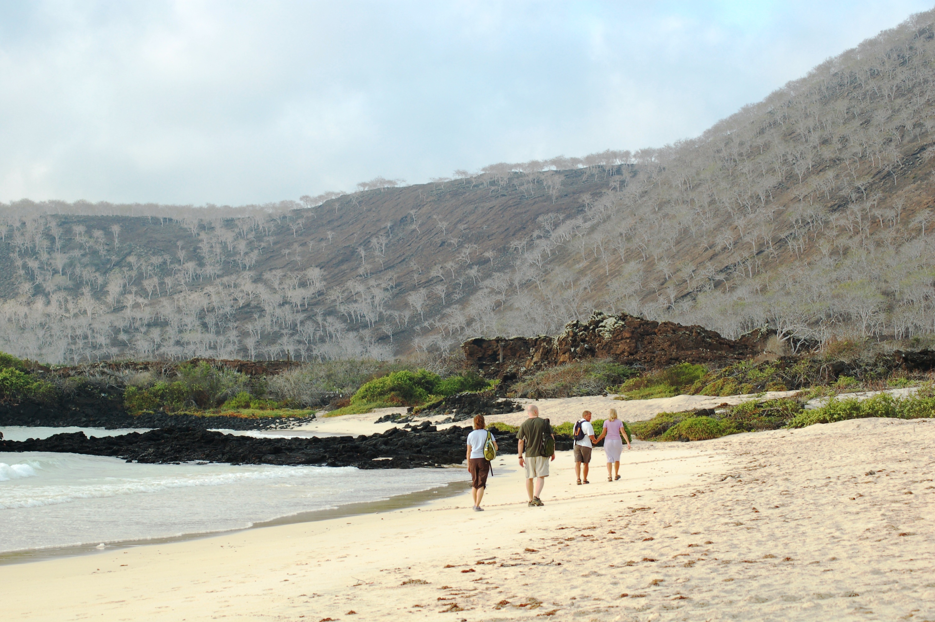 	Travel to Galapagos during Covid