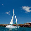 galapagos 43 sailboat