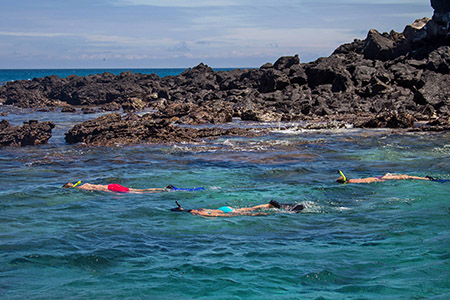 nemoi galapagos itinerary snorkel