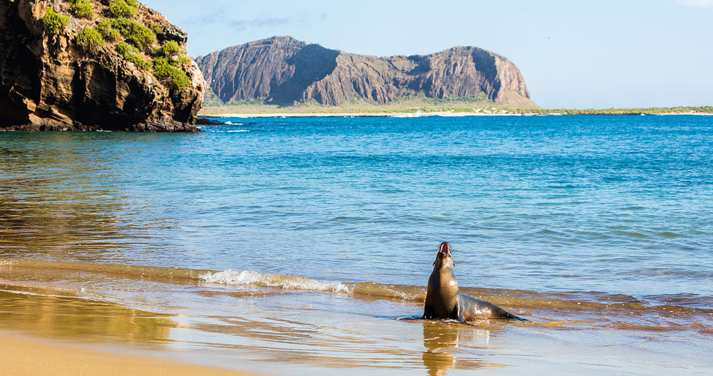 Tours Santa Cruz Island Galapagos 