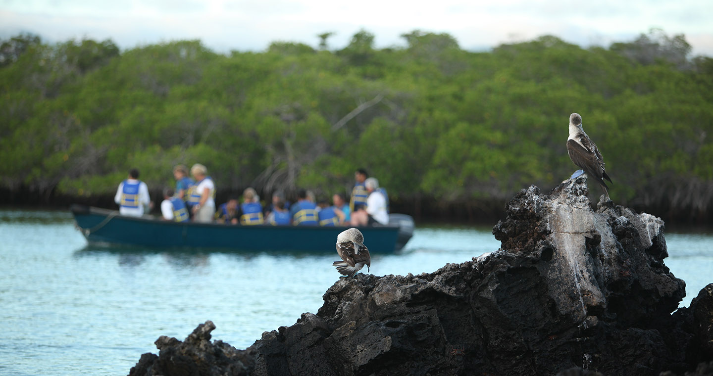 Tours Santa Cruz Island Galapagos 