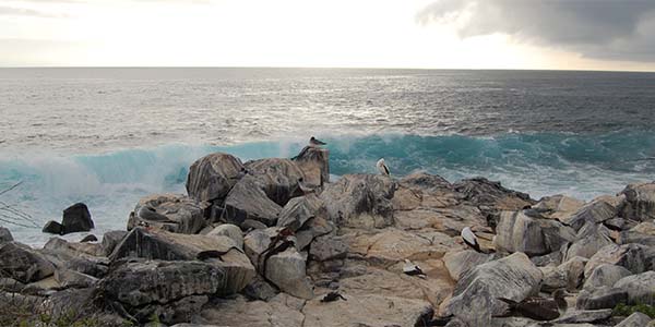 Galapagos landscapes Punta Suarez